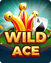 Wild Ace — Slots game on the YY Game app